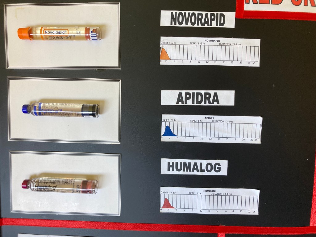 Comprendre les différents types d'insuline - analogue rapide