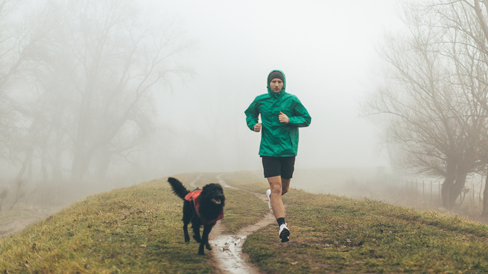 restez actif cet hiver, homme qui court par une journée froide et humide avec un chien à la campagne